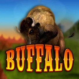 Buffalo Bingo logo by MGA Games at Jackpot Bingo